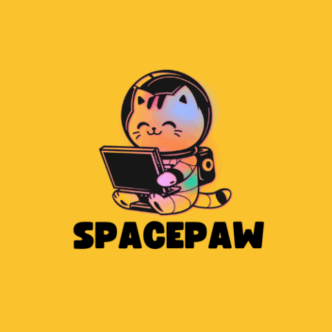 Logo concept spacepaw 2