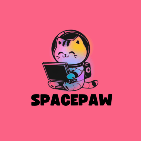 Logo concept spacepaw 3